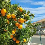 Apartman With Sea View, La Mata *