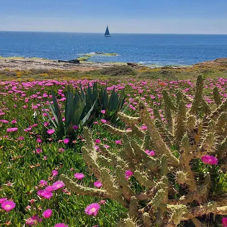 Appartement With Sea View, La Mata *