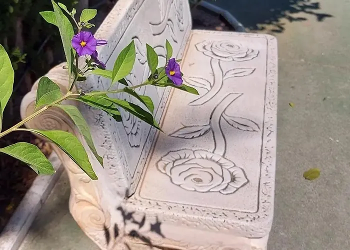 With Sea View, La Mata *