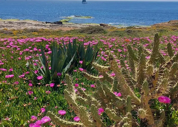 Apartment With Sea View, La Mata *