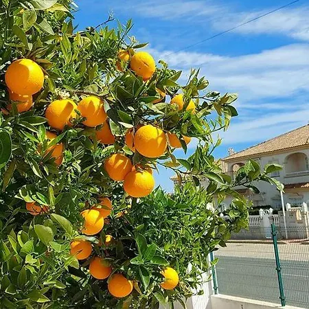 Appartement With Sea View, La Mata *