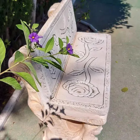 With Sea View, La Mata *