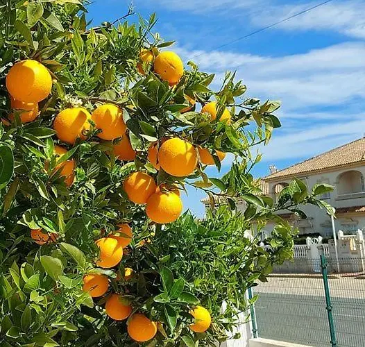 Appartement With Sea View, La Mata *