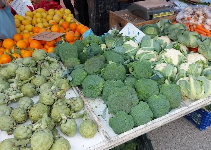 With Sea View, La Mata Appartement *